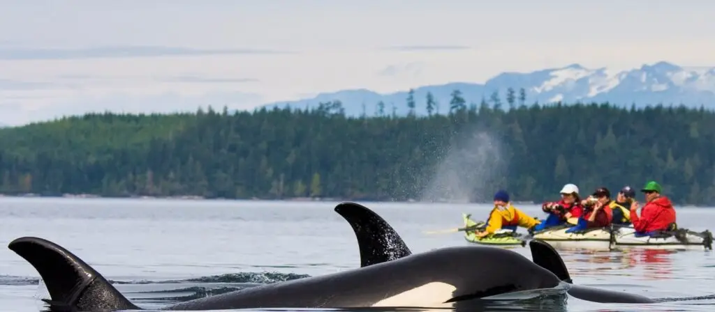 British Columbia: Canada’s Outdoor & Tech Capital- kayaking